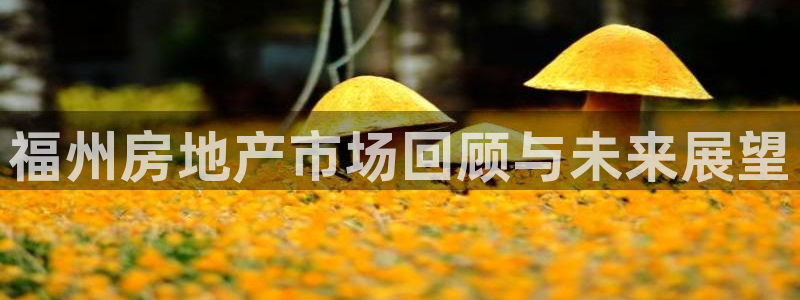 天狮娱乐直招64681：福州房地产市场回顾与未来展望