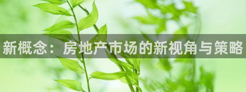 天狮娱乐 运营88383x