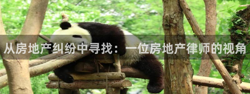 天狮娱乐d 判官
