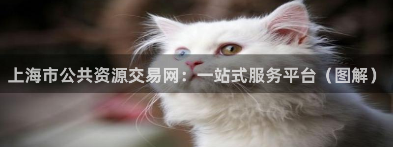 天狮娱乐扣72226