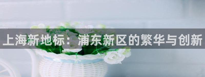 天狮娱乐指尖可：上海新地标：浦东新区的繁华与创新