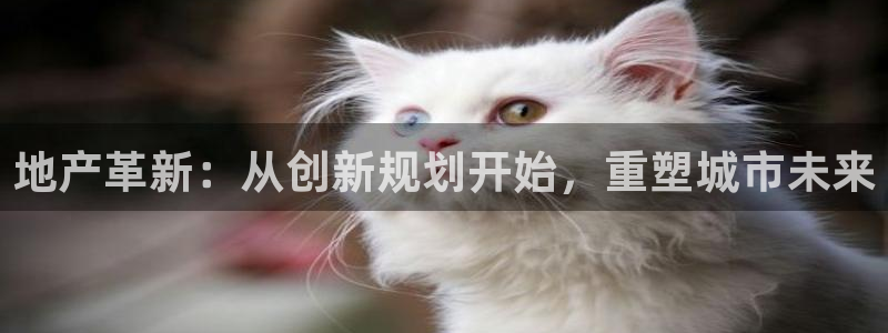 天狮娱乐怎样玩
