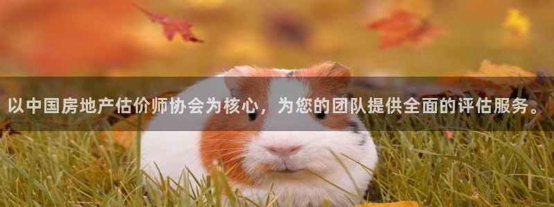 天狮娱乐是什么
