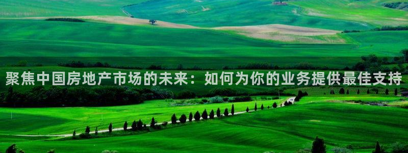 天狮娱乐待遇怎么样：聚焦中国房地产市场的未来：如何为你的业务