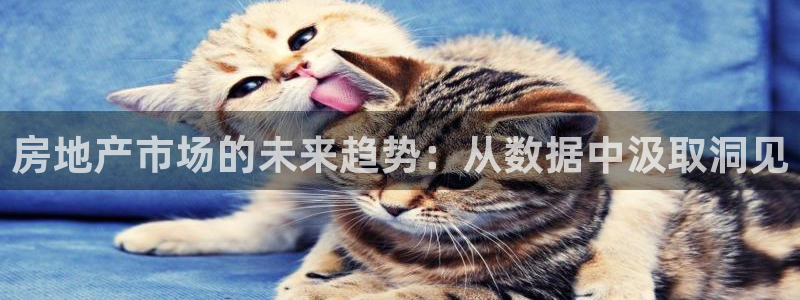 天狮娱乐是赌博吗：房地产市场的未来趋势：从数据中汲取洞见
