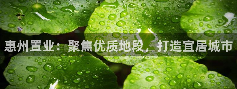 天狮娱乐f 判官：惠州置业：聚焦优质地段，打造宜居城市