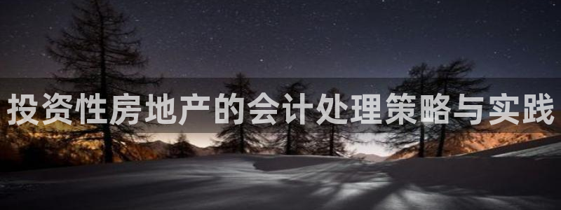 天狮娱乐代理最高多少钱：投资性房地产的会计处理策略与实践