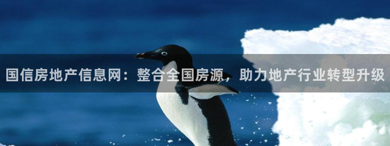 天狮娱乐是什么东西