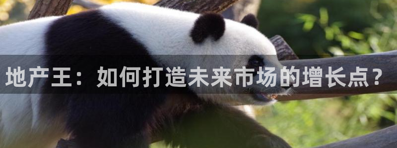 天狮娱乐 运营88383x