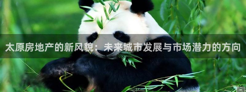 天狮娱乐 官方注册官网：太原房地产的新风貌：未来城市发展与市
