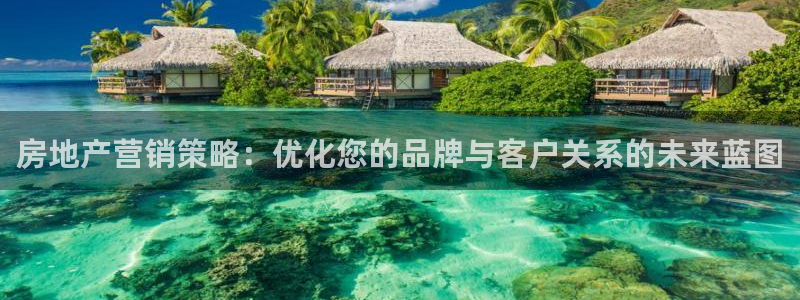 天狮娱乐 招商扣：房地产营销策略：优化您的品牌与客户关系的未