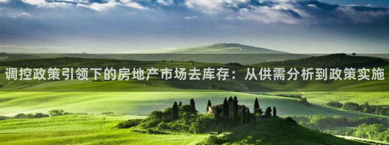 天狮娱乐注册71009：调控政策引领下的房地产市场去库存：从