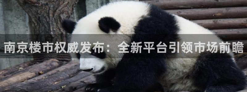 天狮娱乐登陆