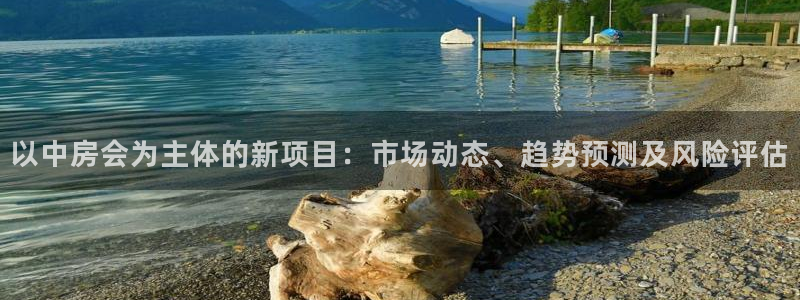 天狮娱乐注册q 0：以中房会为主体的新项目：市场动态、趋势预