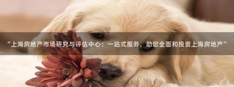 天狮娱乐用户名怎么起：“上海房地产市场研究与评估中心：一站式