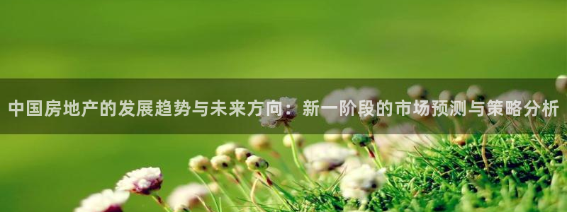天狮娱乐走势图：中国房地产的发展趋势与未来方向：新一阶段的市