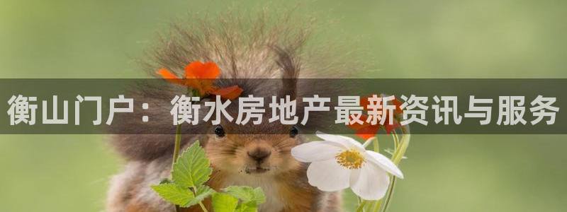 天狮娱乐平台：衡山门户：衡水房地产最新资讯与服务