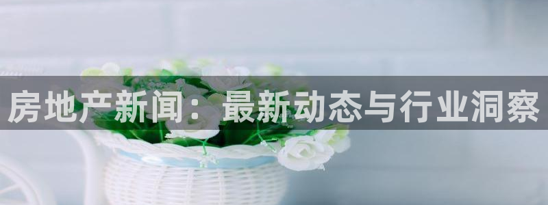 天狮娱乐强哥：房地产新闻：最新动态与行业洞察