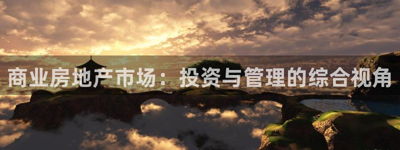天狮娱乐 82104直招q：商业房地产市场：投资与管理的综合