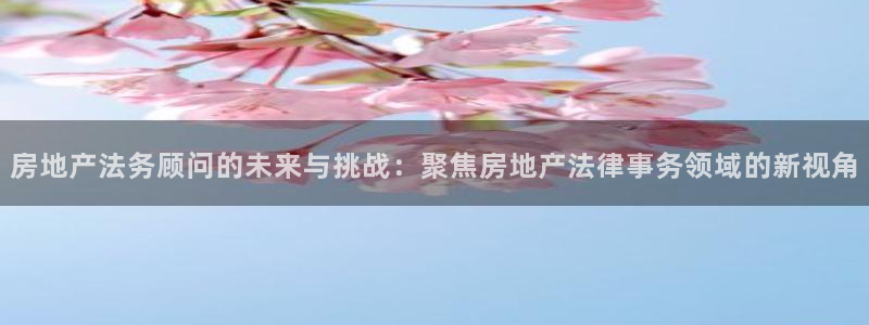 天狮娱乐 a招商60447：房地产法务顾问的未来与挑战：聚焦