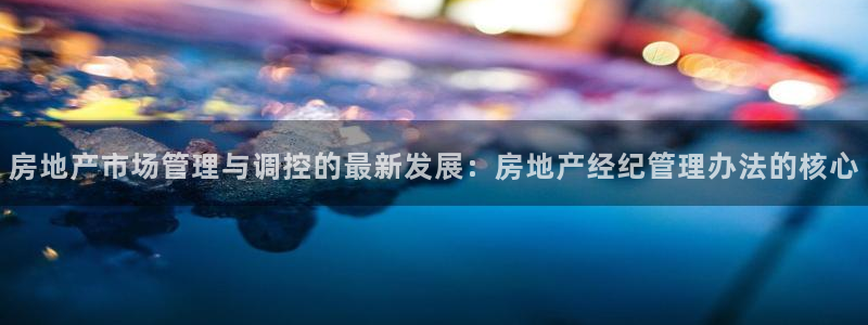 天狮会娱乐会所：房地产市场管理与调控的最新发展：房地产经纪管