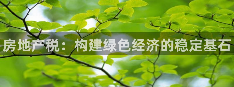 天狮娱乐平台找谁：房地产税：构建绿色经济的稳定基石
