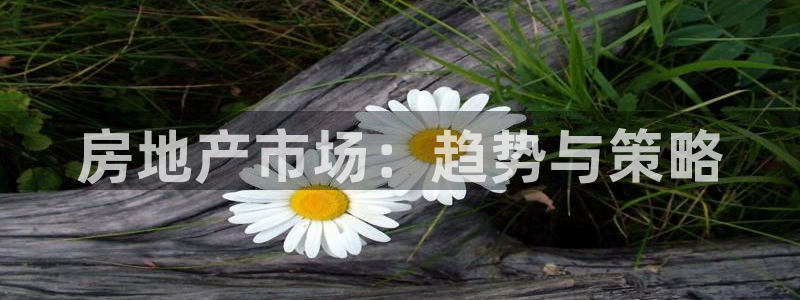 天狮娱乐注册登陆：房地产市场：趋势与策略