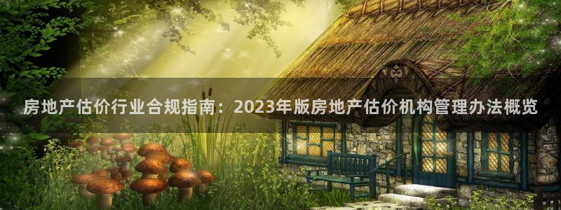 天狮娱乐 运营88383x：房地产估价行业合规指南：2023