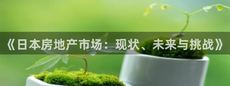 天狮娱乐招商87277：《日本房地产市场：现状、未来与挑战》