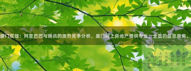 天狮娱乐官方网站下载：厦门双雄：阿里巴巴与腾讯的激烈竞争分析