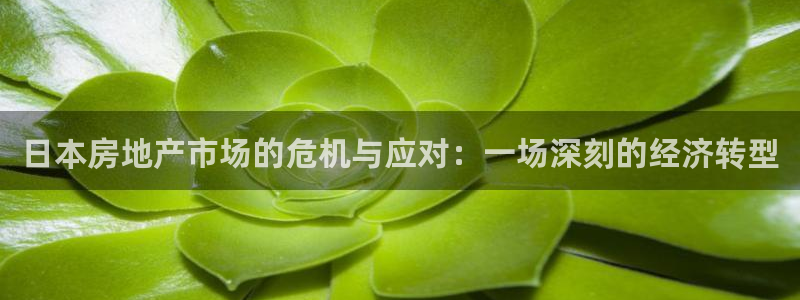 天狮娱乐炔wx15 net：日本房地产市场的危机与应对：一场
