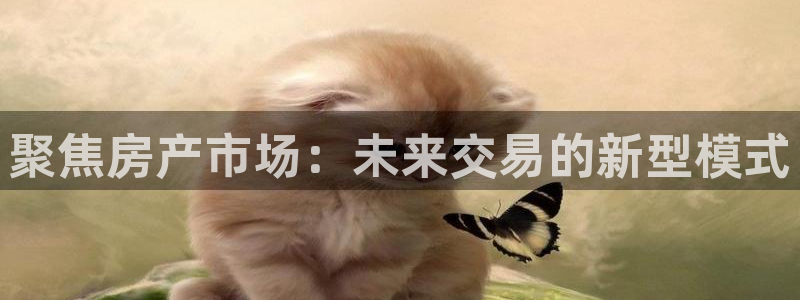 天狮娱乐鱼刺A软件：聚焦房产市场：未来交易的新型模式