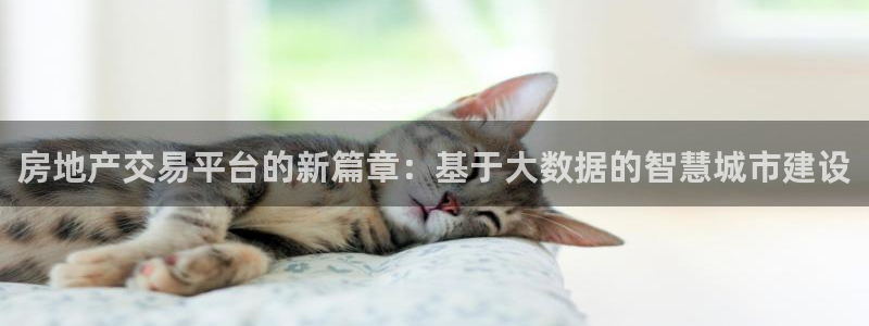 天狮娱乐 b主管61166：房地产交易平台的新篇章：基于大数