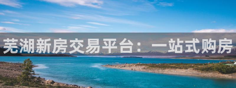 天狮国际娱乐平台：芜湖新房交易平台：一站式购房
