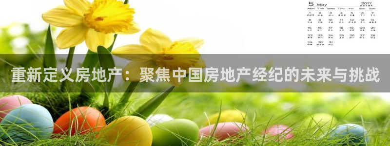 天狮娱乐 b主管61166：重新定义房地产：聚焦中国房地产经