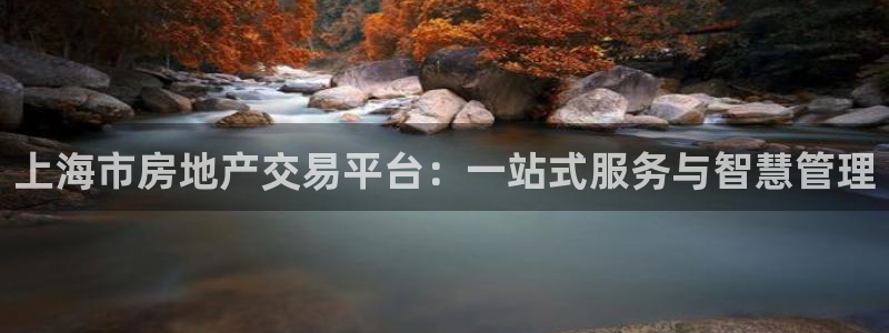 天狮娱乐违法行为：上海市房地产交易平台：一站式服务与智慧管理
