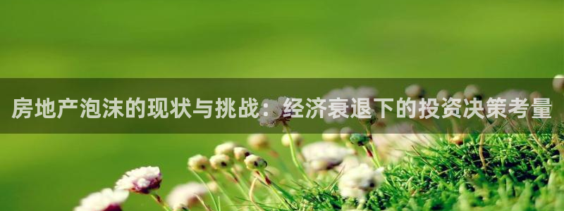 天狮国际娱乐：房地产泡沫的现状与挑战：经济衰退下的投资决策考
