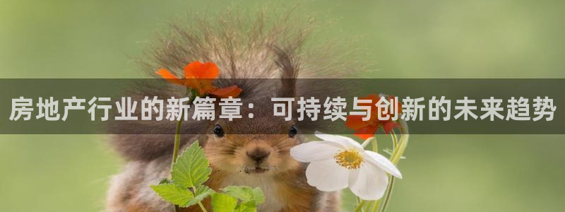 天狮娱乐怎么做代理：房地产行业的新篇章：可持续与创新的未来趋