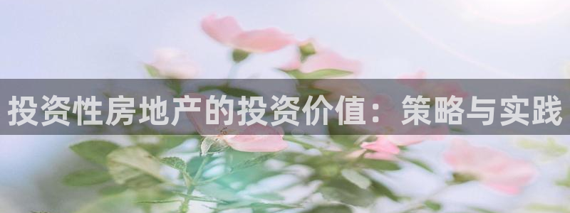 天狮娱乐c 判官：投资性房地产的投资价值：策略与实践