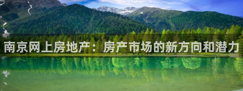 天狮娱乐指尖年：南京网上房地产：房产市场的新方向和潜力