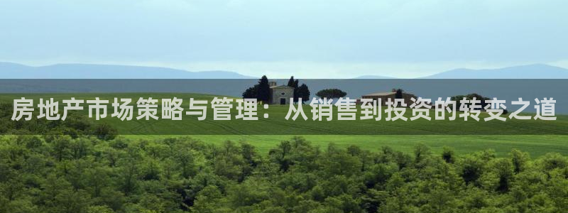 天狮娱乐招商66六26：房地产市场策略与管理：从销售到投资的