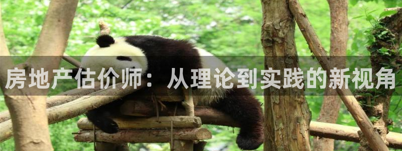苏州狮山龙湖天街娱乐：房地产估价师：从理论到实践的新视角