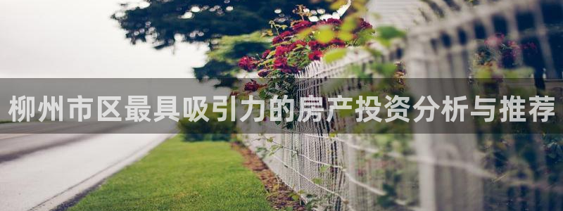 天狮娱乐网：柳州市区最具吸引力的房产投资分析与推荐