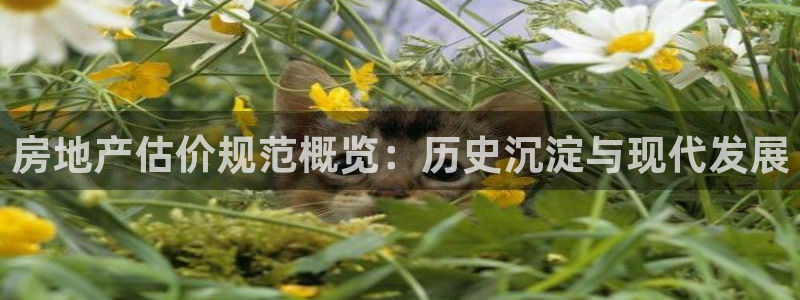天狮娱乐彩票玩法：房地产估价规范概览：历史沉淀与现代发展
