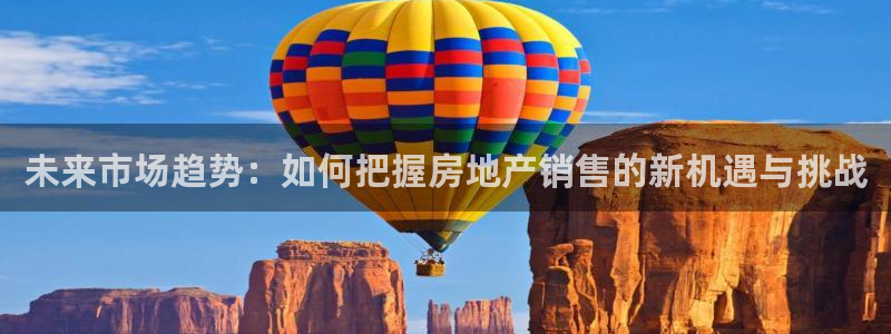天狮娱乐主管66六26：未来市场趋势：如何把握房地产销售的新