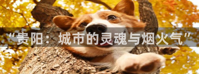 天狮娱乐首选：“贵阳：城市的灵魂与烟火气”