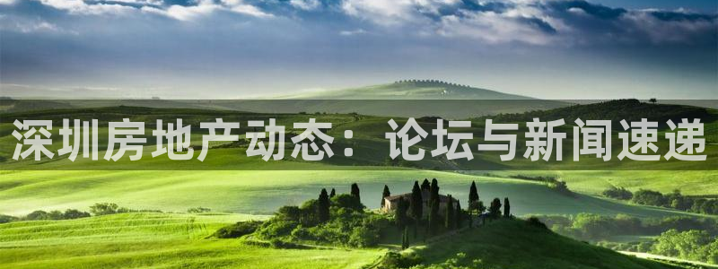 天狮娱乐运营29229：深圳房地产动态：论坛与新闻速递