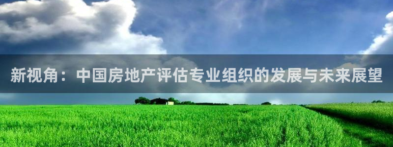 天狮娱乐怎么下载：新视角：中国房地产评估专业组织的发展与未来