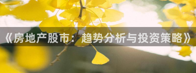 天狮娱乐代理找谁：《房地产股市：趋势分析与投资策略》