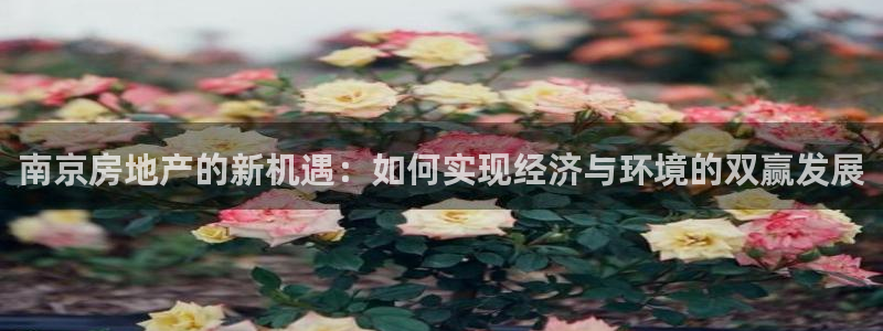 天狮娱乐26日判官333oo：南京房地产的新机遇：如何实现经